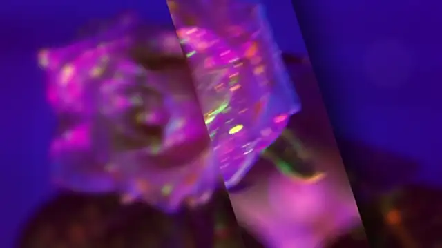 Snapshot of HeyBananas chatting on 10.22.25 HeyBananas online show from 10.22.25