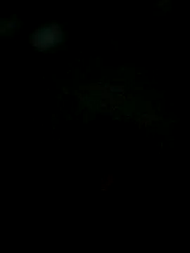 Snapshot of Karthik924 chatting on 02.01.25 Karthik924 online show from 02.01.25