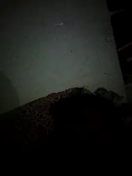 Snapshot of Karthik924 chatting on 02.21.25 Karthik924 online show from 02.21.25