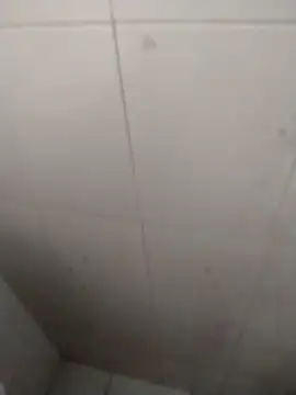 rohitlov150 online show from 09.18.25