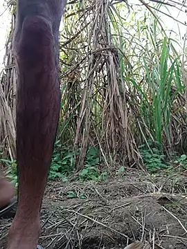 Snapshot of cjonybab chatting on 11.18.25 cjonybab online show from 11.18.25