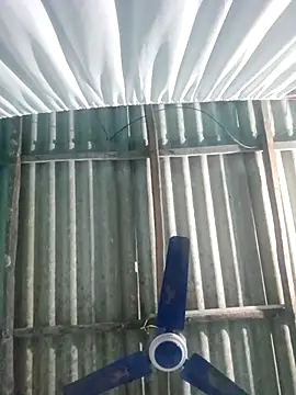 Snapshot of hotbaby_5 chatting on 11.20.25 hotbaby 5 online show from 11.20.25