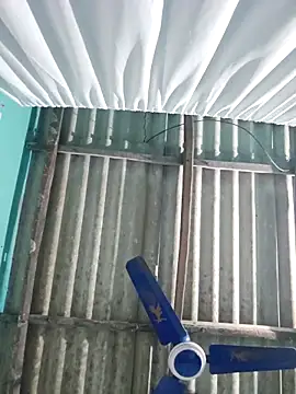 hotbaby 5 online show from 11.29.25