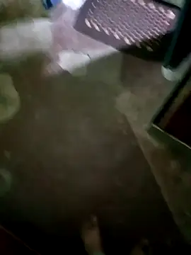 Snapshot of InboardHasek chatting on 12.05.24 InboardHasek online show from 12.05.24