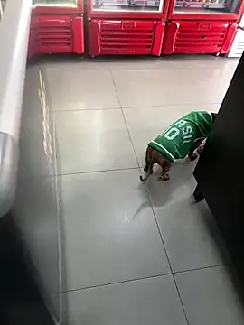 Hjsjsjsjjd online show from 10.14.25