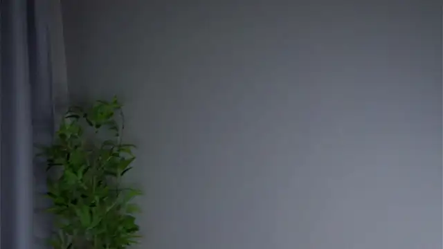 AftonConnett online show from 02.23.26