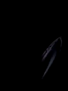 Inkognito0495 online show from 10.29.25