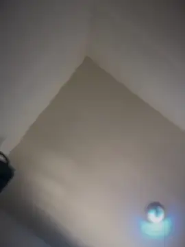 RodeMud online show from 03.08.26