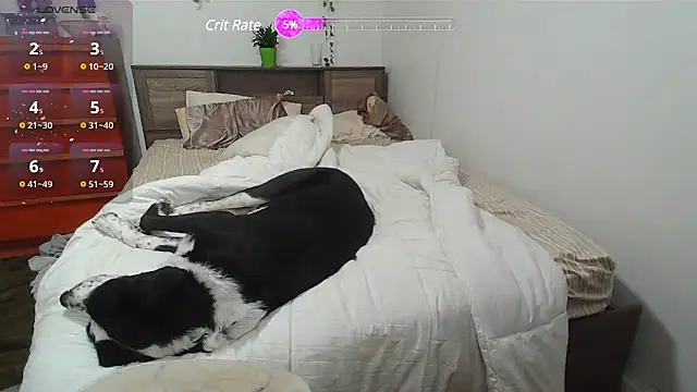 Kittyymaze1 online show from 02.25.25