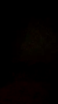 lobomisterioso13 online show from 02.03.25