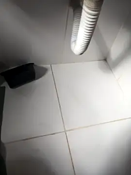 lobomisterioso13 online show from 03.02.26