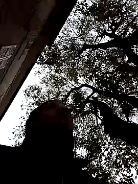 Snapshot of openlegsforyou chatting on 11.22.25 openlegsforyou online show from 11.22.25