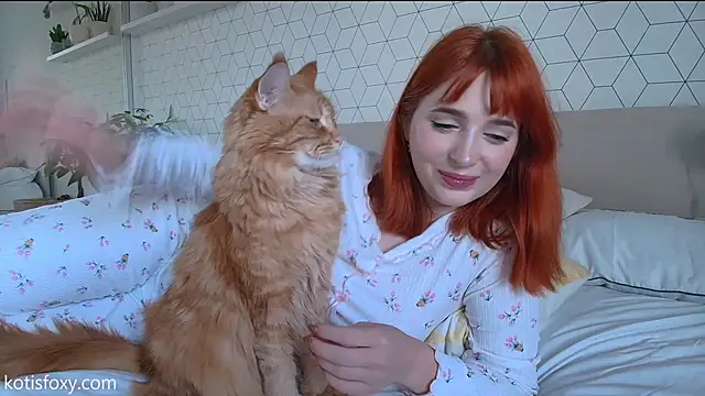 Kotis Foxy online show from 12.02.24