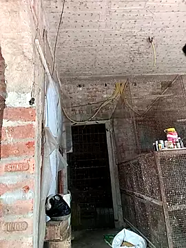 Snapshot of NICK_IN chatting on 02.24.25 NICK IN online show from 02.24.25