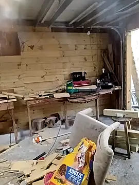 Buffshagswell online show from 11.13.25