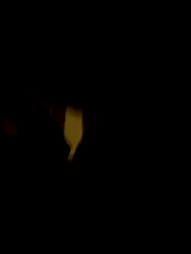 johnnyyyahh online show from 10.10.25