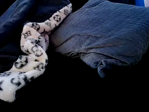 Snapshot of Niquitasparkles chatting on 12.22.24 Niquitasparkles online show from 12.22.24