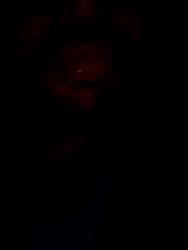 Snapshot of mohitsexy12 chatting on 12.08.24 mohitsexy12 online show from 12.08.24