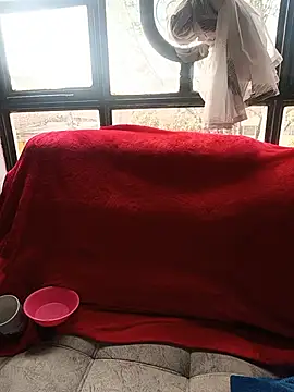Tefannyy  online show from 06.17.26