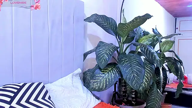 Snapshot of Mindy_sweety chatting on 03.06.25 Mindy sweety online show from 03.06.25