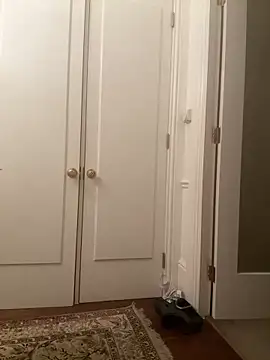 Snapshot of francaFerrariRoma chatting on 12.28.24 francaFerrariRoma online show from 12.28.24