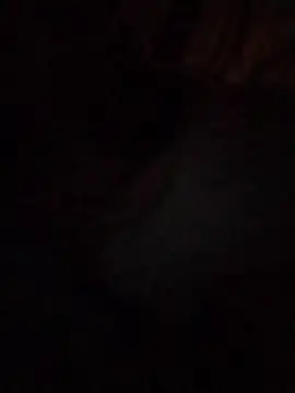 Work4Crypto online show from 03.21.26