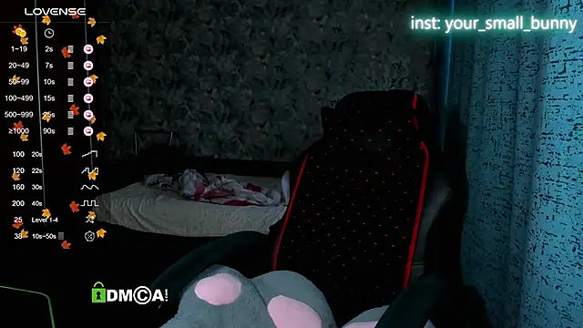 Your small bunny online show from 11.15.25