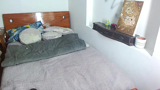 Snapshot of Party_trans chatting on 12.16.24 Party trans online show from 12.16.24