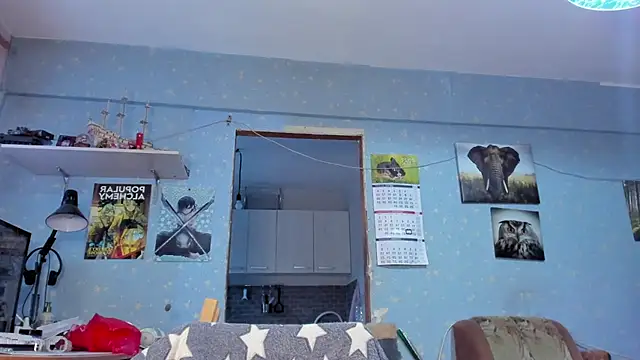 Snapshot of teddy_alan chatting on 01.26.25 teddy alan online show from 01.26.25