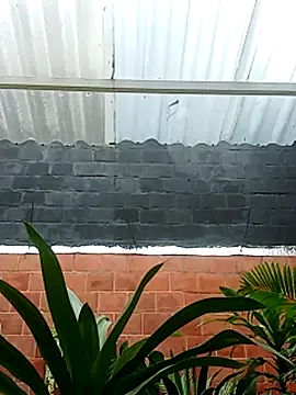 Snapshot of luchoarr chatting on 11.14.25 luchoarr online show from 11.14.25