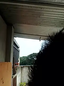 Snapshot of luchoarr chatting on 12.21.25 luchoarr online show from 12.21.25