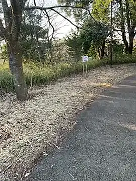 Hideen-real-face online show from 02.18.26