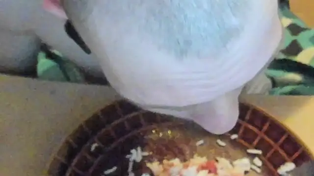 Snapshot of sexy264329 chatting on 03.07.25 sexy264329 online show from 03.07.25