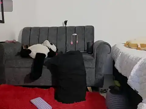 Snapshot of Katt_BDSM chatting on 02.13.25 Katt BDSM online show from 02.13.25