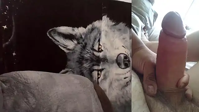 Snapshot of Hornychitown24 chatting on 02.03.26 Hornychitown24 online show from 02.03.26