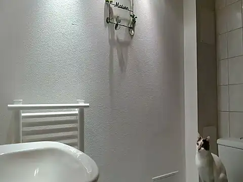 Snapshot of Lauzo21 chatting on 03.20.26 Lauzo21 online show from 03.20.26