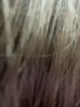 xyebobs online show from 10.01.25