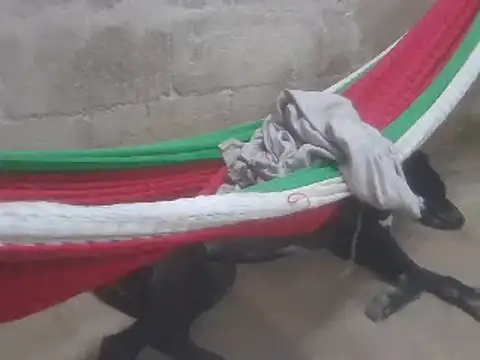 tripexnte online show from 02.16.25