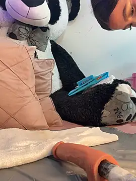 Snapshot of IamSteph13 chatting on 03.02.26 IamSteph13 online show from 03.02.26