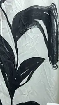 Snapshot of B_and_K chatting on 12.29.24 B and K online show from 12.29.24