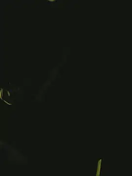 Snapshot of Pressure69mee chatting on 03.02.25 Pressure69mee online show from 03.02.25