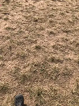 Black mamba madingo online show from 12.10.24