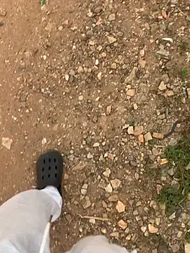 Black mamba madingo online show from 12.11.24