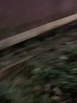 Black mamba madingo online show from 01.17.25