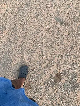 Black mamba madingo online show from 01.30.25