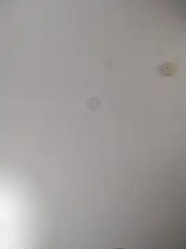 geilerschwanz64 online show from 10.27.25