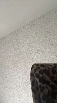 torilux online show from 02.22.25