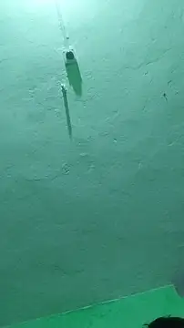 RADHAHO online show from 10.09.25