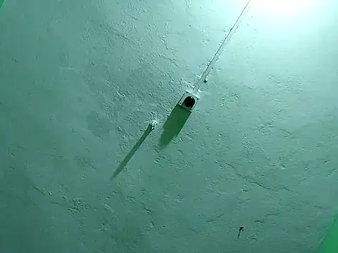 RADHAHO online show from 11.02.25