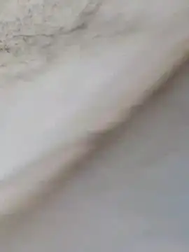 Snapshot of MrNick74 chatting on 12.22.25 MrNick74 online show from 12.22.25